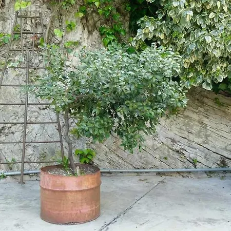Casa Alla Cantinota Ospitar Apartment Padergnone